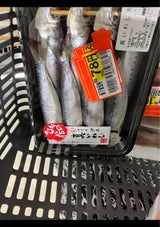 オーシャンプラン 冷凍真いわし(めざし)