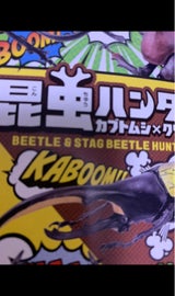 エフトイズ 昆虫ハンター 1個