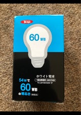 東洋 白熱電球 54W