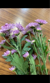 メルシー 切花400 1P