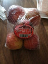 大中 サンつがる 6個