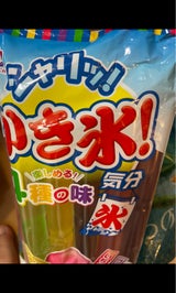 足立 かき氷気分 10本