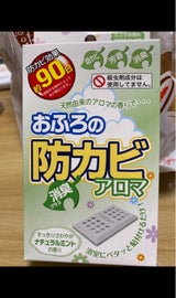 おふろの防カビアロマ 本体 ナチュラルミント