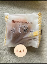 キムラヤ けしぱん 1P