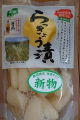 センナリ 鳥取砂丘産らっきょう漬 パウチ 150g