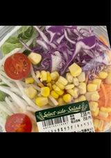 サトウ 2/3日分野菜サラダキャベツ 1P