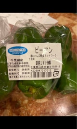 さんぶ ピーマン 1P