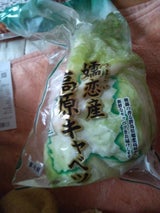 関口 高原キャベツ半割 1P