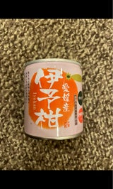 愛工房 伊予柑 5号缶 295g