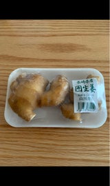 山川 しょうが 1P