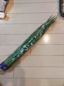 丸千　健康一番ちばのにらちゃん　１００ｇの商品写真
