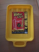 タンゲ タンクトレー ジュニア