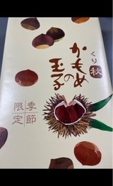 さいとう製菓 栗かもめの玉子 9個