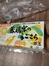 児湯養鶏 養鶏家のまごころ赤玉 10個