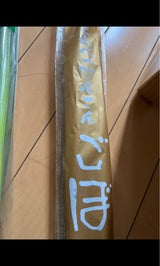 JAオホーツク オホーツク網走牛蒡 2本