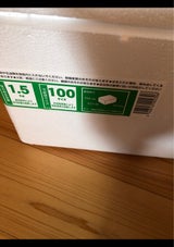 石山 発泡箱 フタ付 TI-165