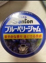 ソントン Fカップ ブルーベリージャム 135g