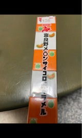 道南食品 富良野メロンサイコロキャラメル 10粒