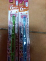 Drデンリスト 6才以上 ふつう 1本