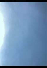 宮崎 紅鮭昆布巻 2本