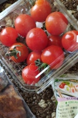 JAひまわり ミニとまと少量パック 1P