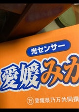 乃万 みかん 無印L 5kg