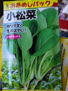 日本農産　小松菜おためしパック　１Ｐのレビュー画像