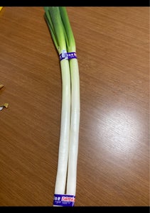 あらき MR深谷ネギ 1kg