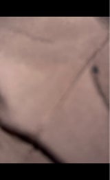 不二貿易 スイッチステッカーキャット