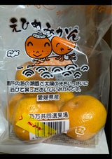 乃間 えひめみかん 1P