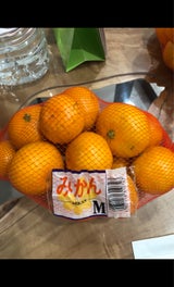 ダイプラ みかんネット M