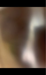 マック食品 おはぎ 粒あん 2個