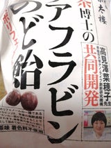 榮太樓 紅茶博士テアフラのど飴 80g