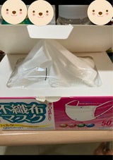 環境浄化 不織布マスク 小さめ 50枚