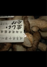 パーソナルドア 生シイタケ 120g