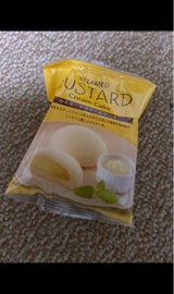 市岡製菓 カスタードクリームケーキ 1個