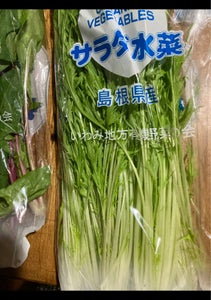 いわみ　サラダ菜　１Ｐのレビュー画像