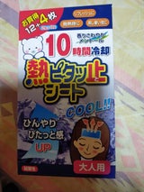 大木 熱ピタッ止シート大人用 12+4枚