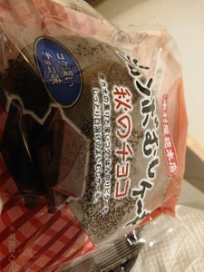 木村屋　ジャンボむしケーキ　秋のチョコの商品写真