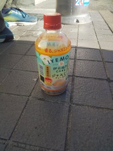 ホット伊右衛門カフェジャスミンティーラテ500mlの商品写真