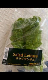 グッドリーフ サンチュ