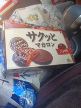 カバヤ カレームサクッとマカロンショコラ 10枚