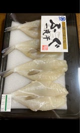 山口県漁連 ふぐ一夜干 4尾