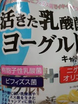 佐久間製菓 活きた乳酸菌ヨーグルトキャンディ90g