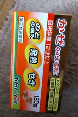 カゼリックC錠 120錠