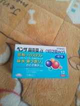 ベンザ鼻炎薬アルファ <1日2回タイプ> 12錠