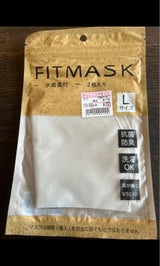 990-001 FITMASKライトGY L 2P