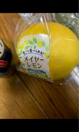 リョーカ メイヤーレモン 2個