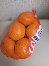 藤井 愛媛産みかん S