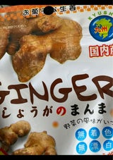 藤井食品 しょうがのまんま 35g